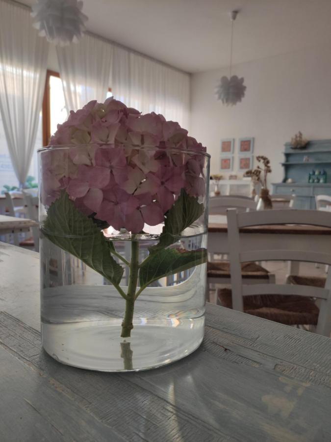Hotel Imperia Marciana Marina Kültér fotó